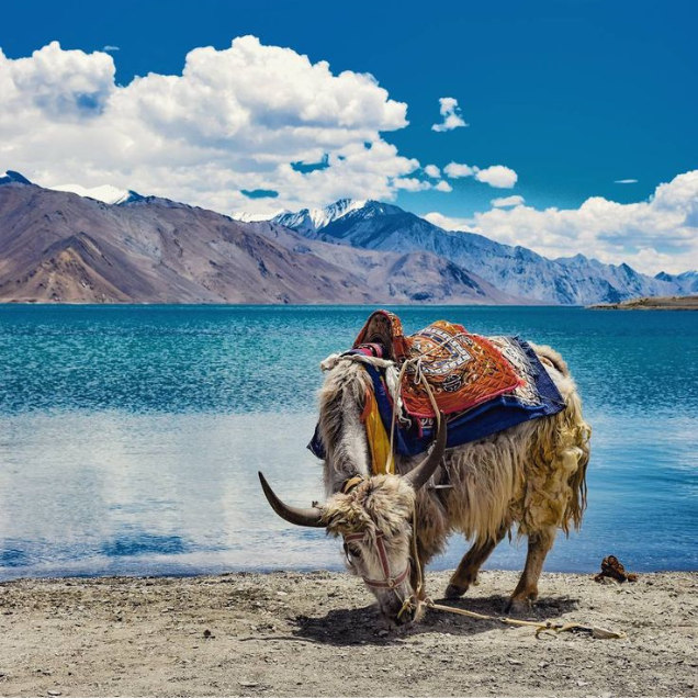 Ladakh